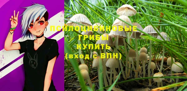 ешки Бугульма