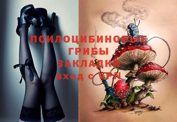 марки lsd Бородино