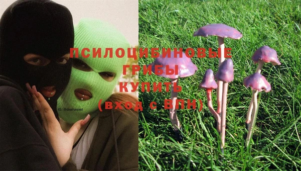 марки lsd Бронницы