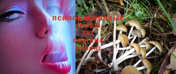 марки lsd Бородино