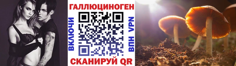 omg зеркало Давлеканово Псилоцибиновые грибы ЛСД